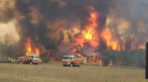 새해까지 이어지는 호주 최악의 산불