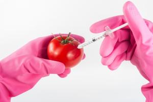 유전자 가위기술 이용한 GMO 규제 완화 반대
